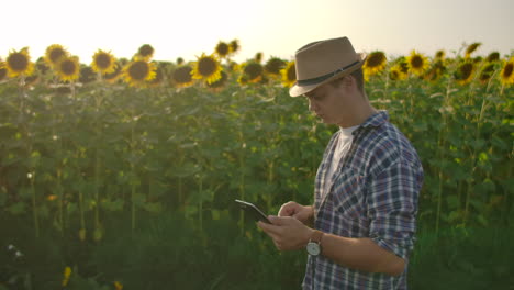 A-young-farmer-male-is-walking-on-a-field-with-sunflowers-in-summer-day-and-studies-its-properties.-He-writes-information-to-his-iPad.